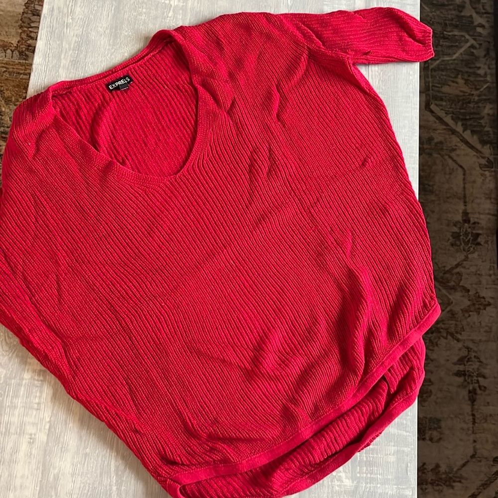 Express short sleeve sweater